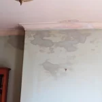 Chimney leaks Services in Chicago IL.
