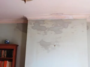 Chimney leaks Services in Chicago IL.